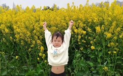 成人在线观看不卡